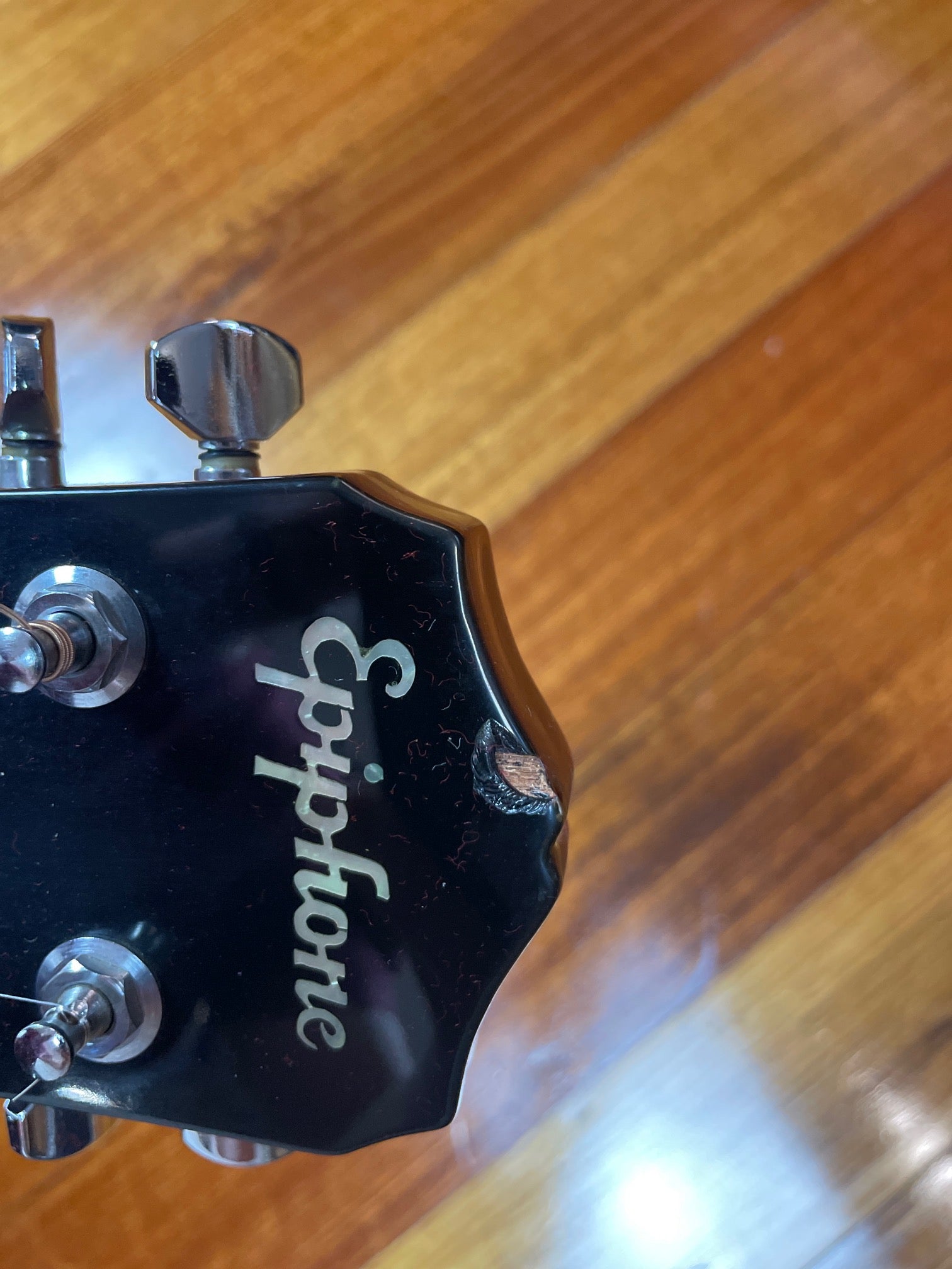 Epiphone PR 350-12 – RadioActiveGuitars