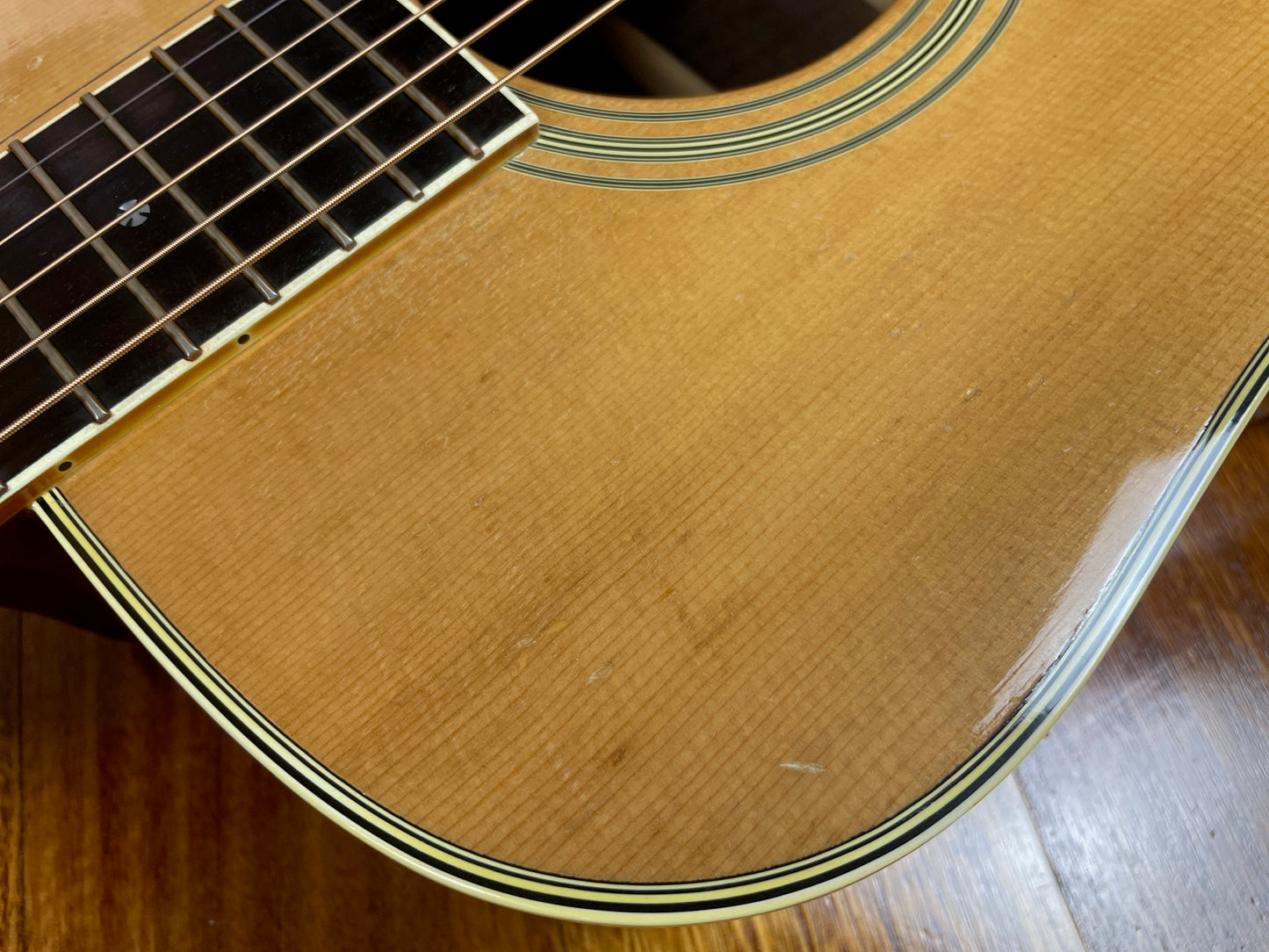 Tokai Cats Eyes CE-500